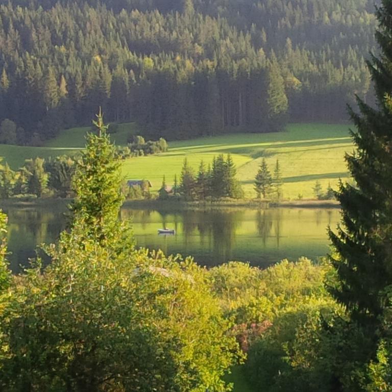 Seehaus Verena Weissensee Room photo